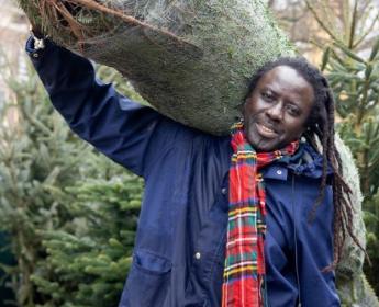 Seny met kerstboom