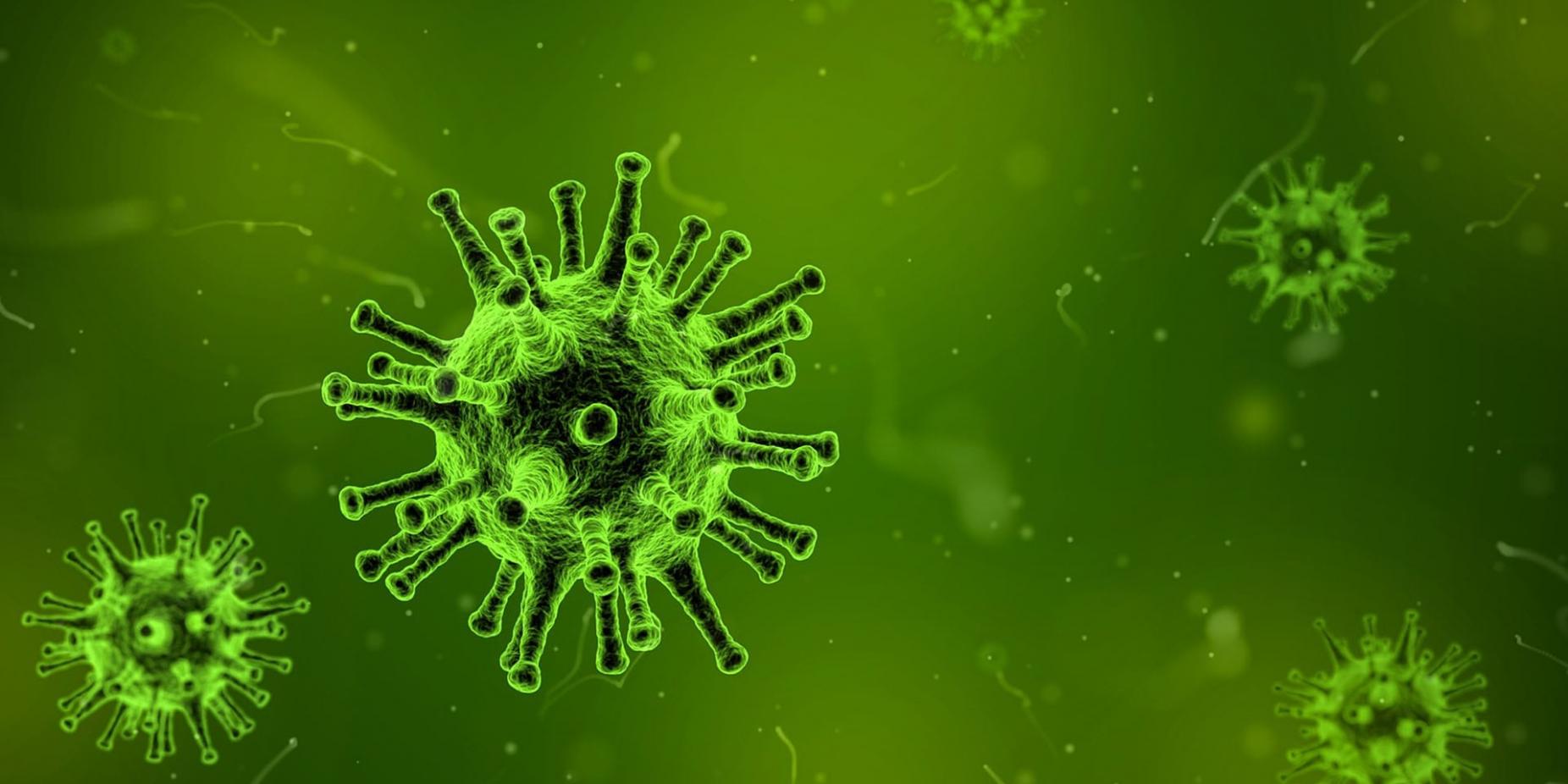 Coronavirus