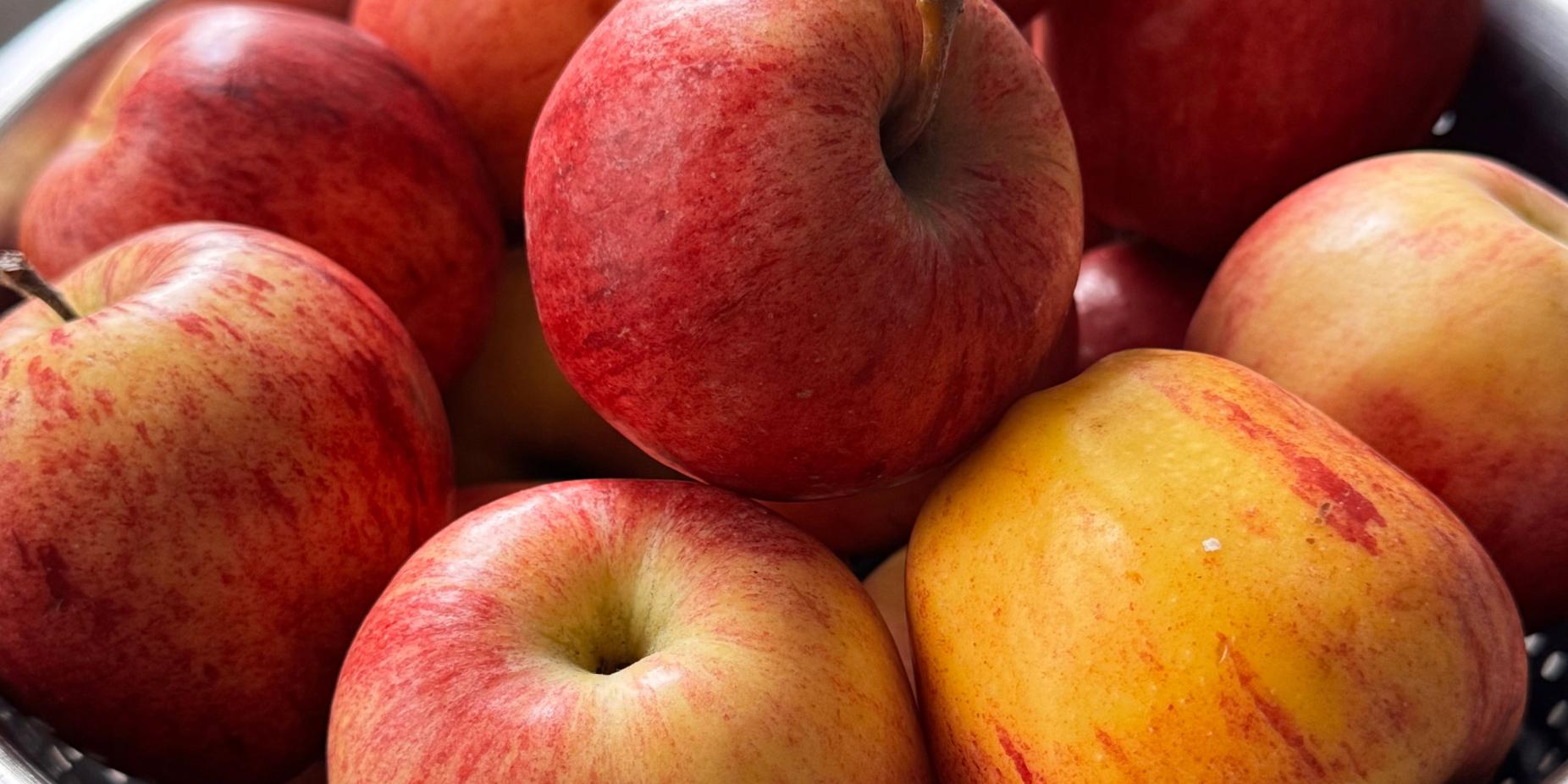 Appelmoes 2.0 van kok Martin