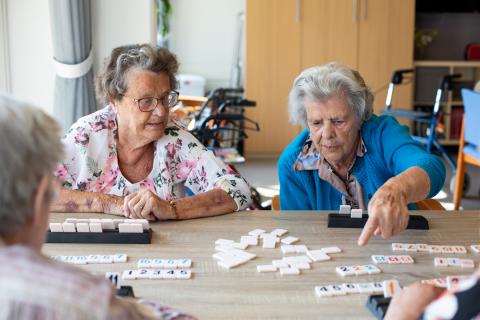 Dagbesteding voor ouderen