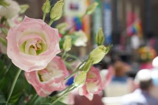 Roze koffie inloop Amsta
