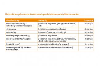 Scheme methodische overlegcyclus Karaad
