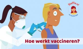 Zo werkt het vaccin