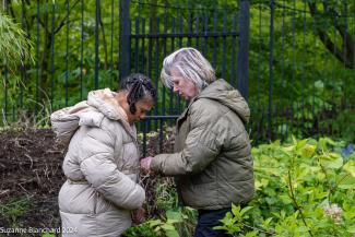 Persoonlijk begeleider gehandicaptenzorg