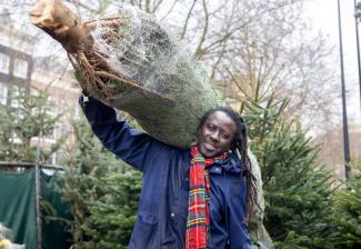 Seny met kerstboom op schouder