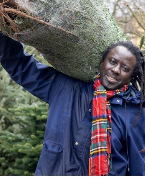 Seny met kerstboom
