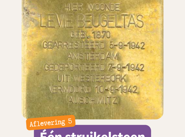 struikelsteen